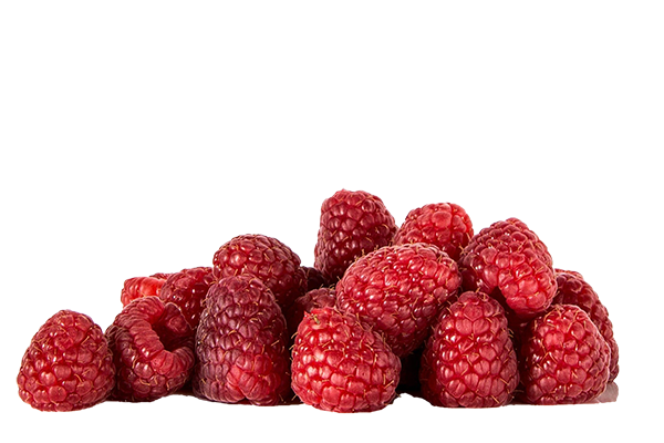 Blairgowrie Raspberries For Sale | D & B Grant