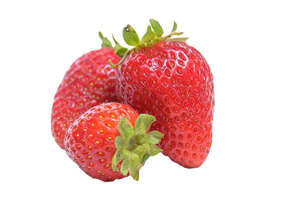 Blairgowrie Strawberries For Sale | D & B Grant